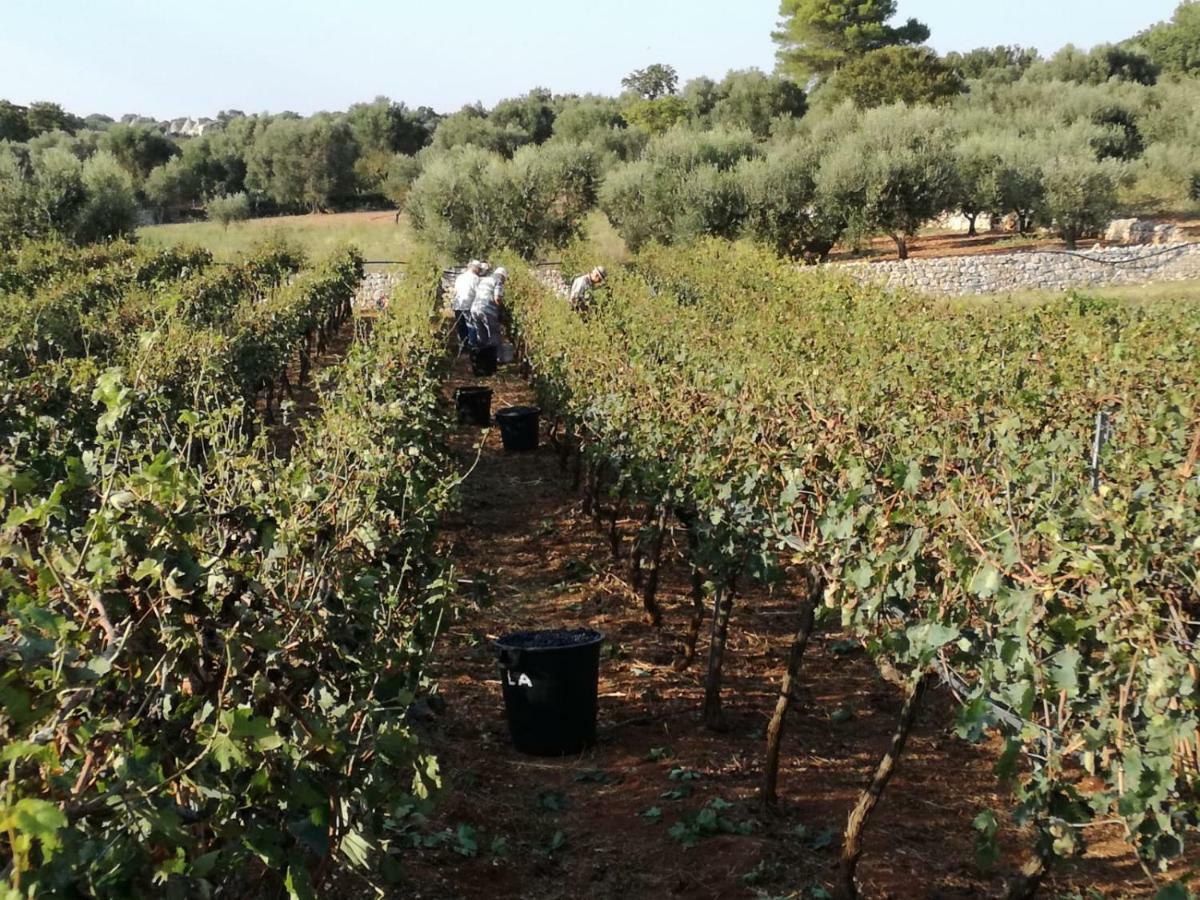 Agriturismo Grotta Di Figazzano Cisternino Eksteriør billede