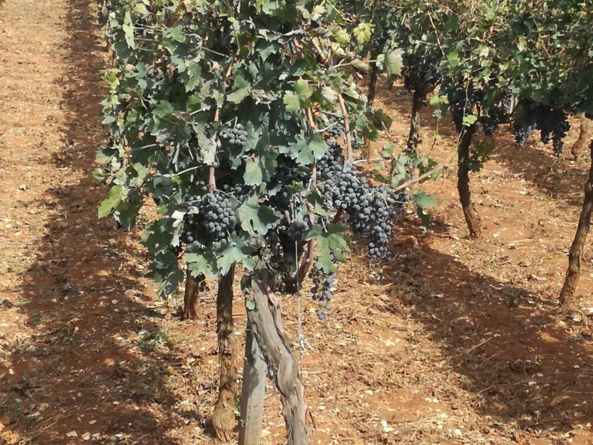 Agriturismo Grotta Di Figazzano Cisternino Eksteriør billede